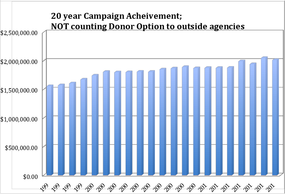 20 years campaign achievement